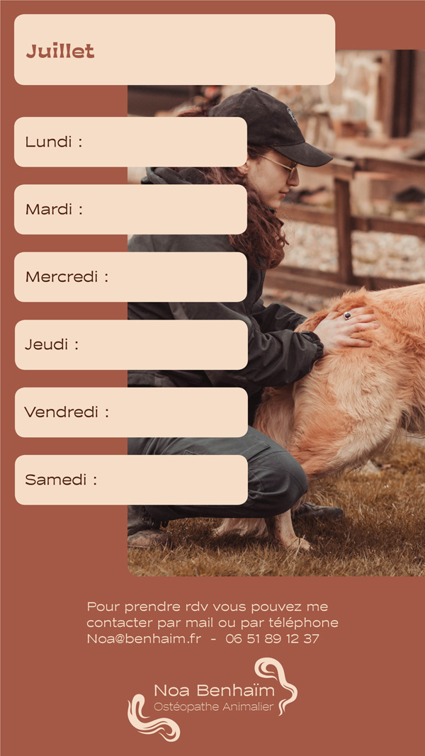CHARTE GRAPHIQUE OSTEOPATHE PAR MANON KNASKO